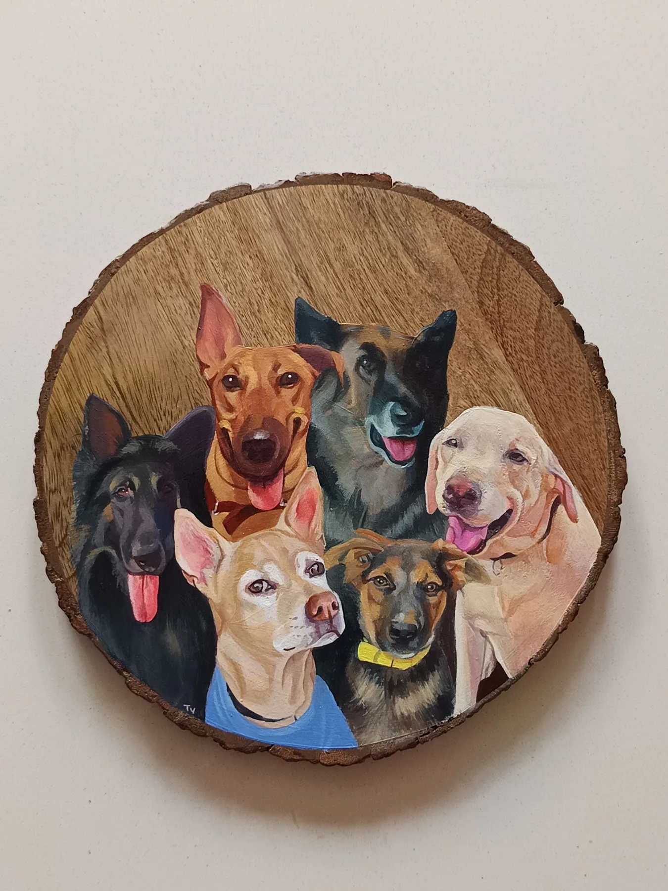 Round wood slice painting of five dogs together, a lively custom pet portrait sample with a natural bark edge.