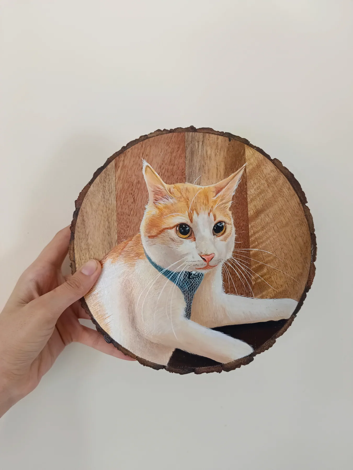 Round wood slice painting of an orange and white cat beside a table edge, held in hand as a pet portrait sample.