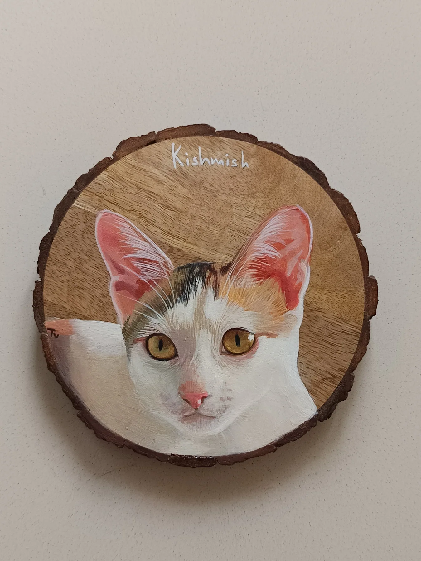Round wood slice painting of a white cat with orange markings, displayed upright as a gentle pet portrait sample.