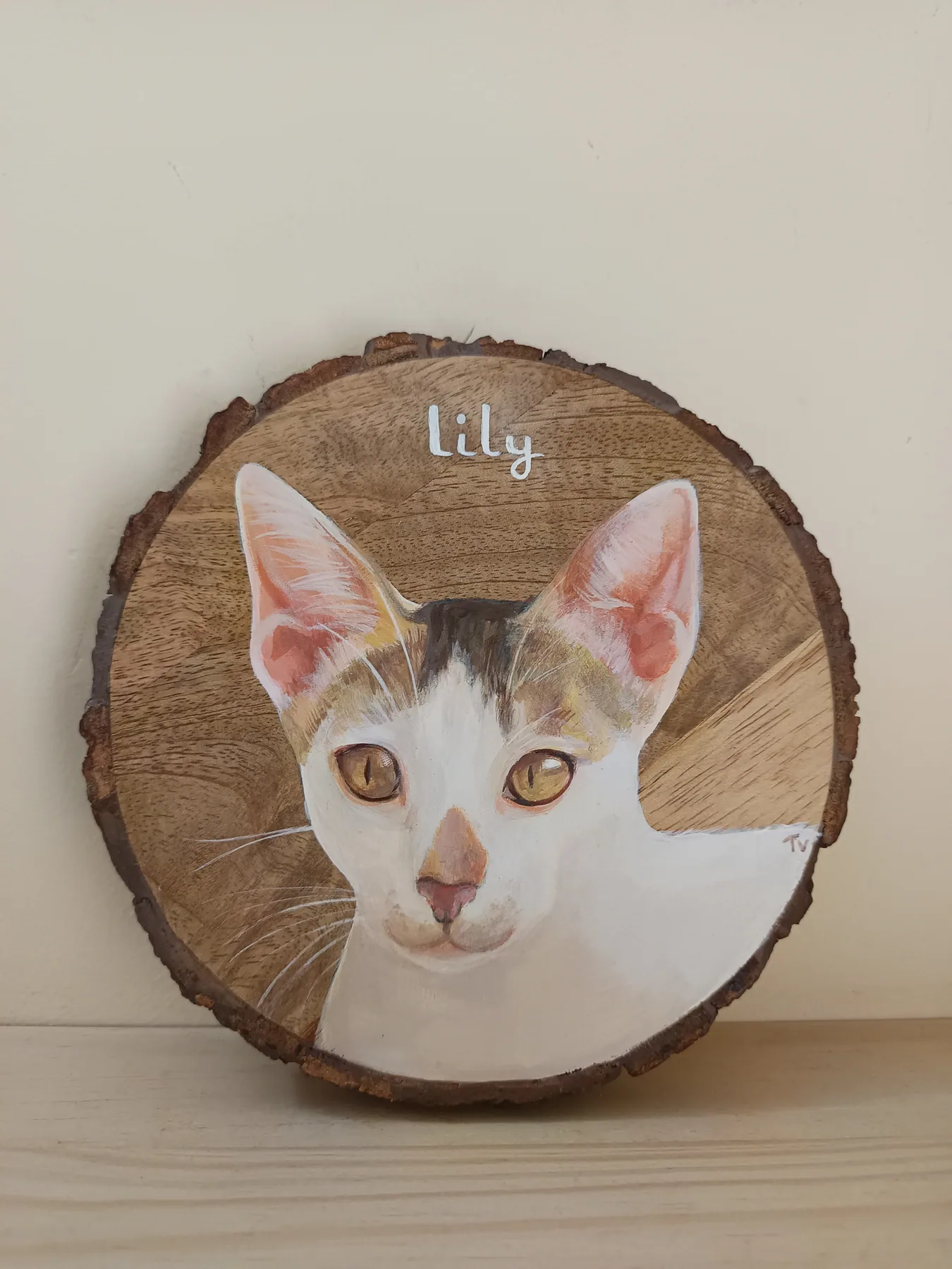 Round wood slice painting of a white cat with tall ears, displayed on a shelf as a simple pet portrait sample.